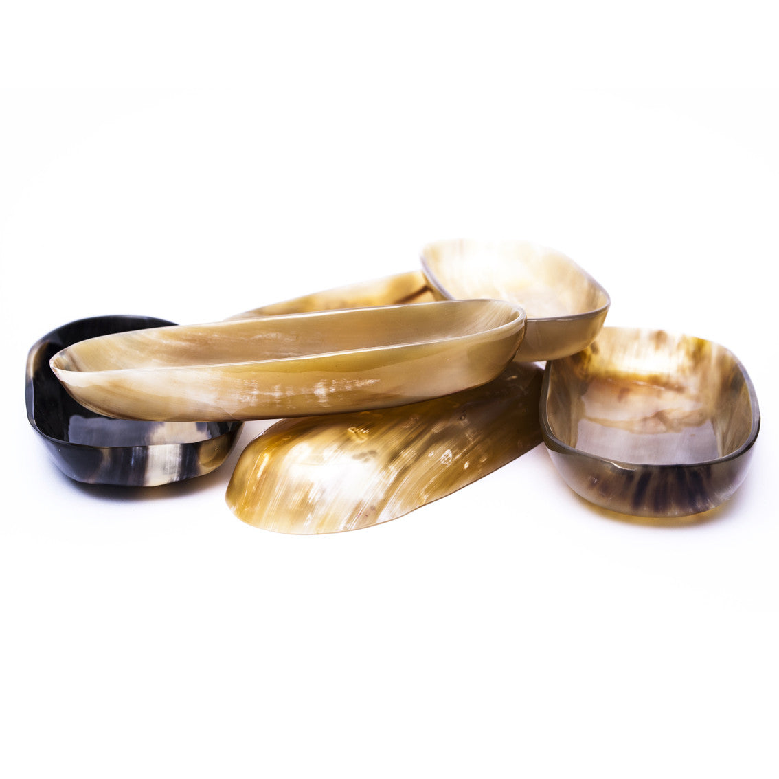 Hornschale  Zebu Horn